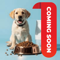 Pet & Pet Supplies